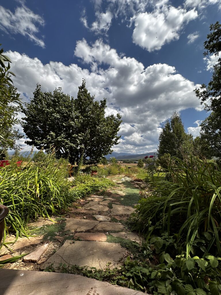 Harmony Taos Regenerative Farm Retreats 8